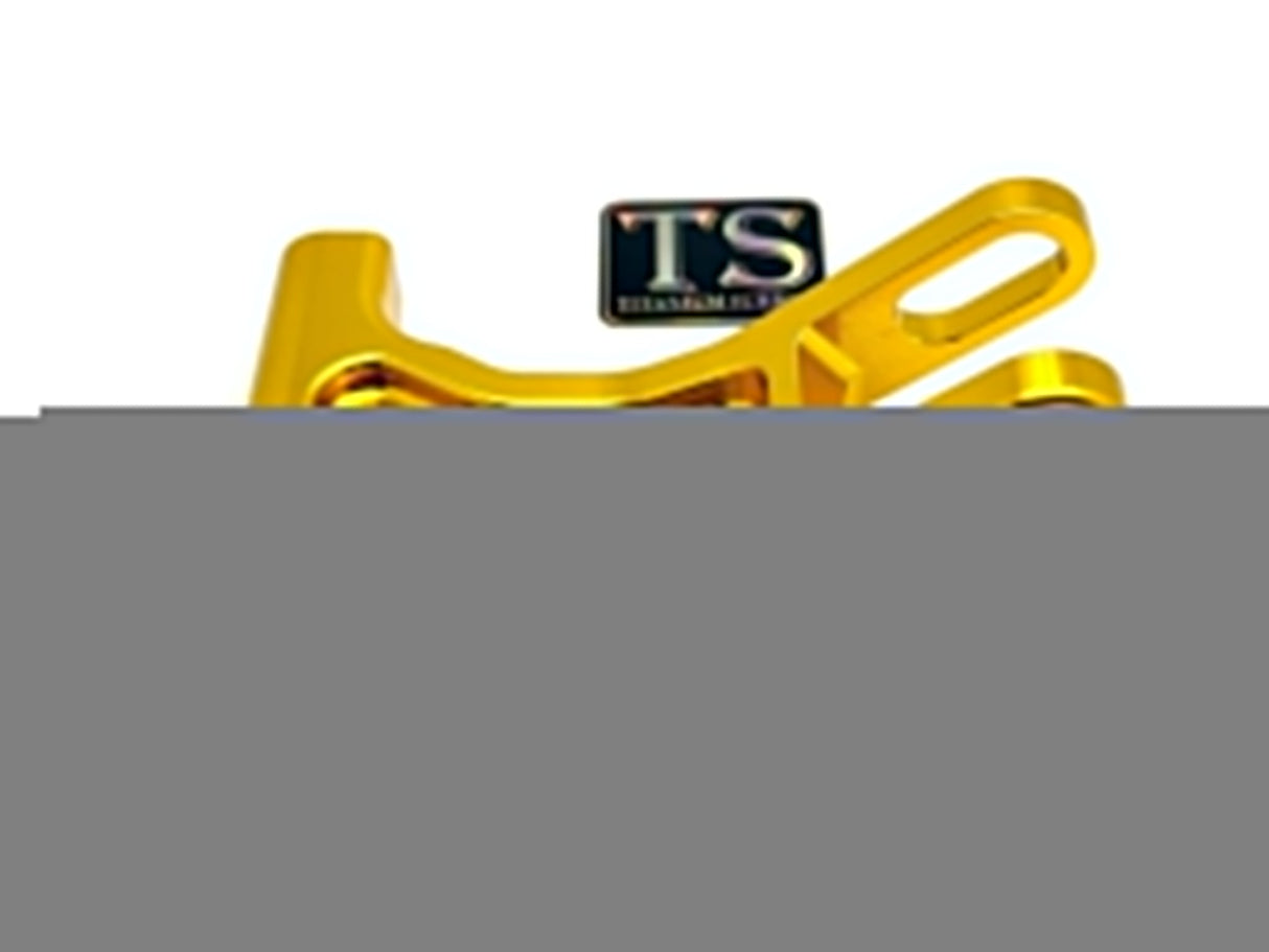 E-Ride Pro Rear Suspension Triangle