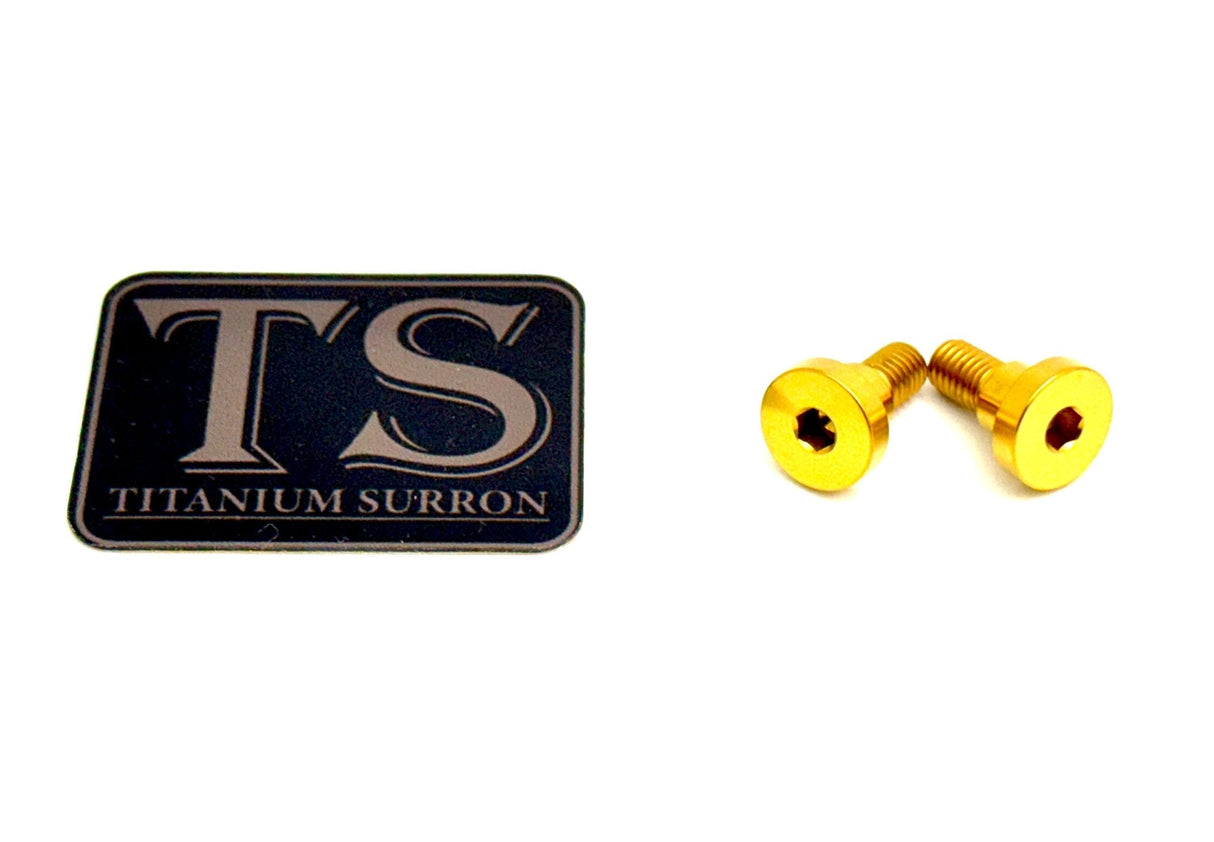 Titanium Battery Lid Bolts - E-Ride Pro - (Two Pcs)
