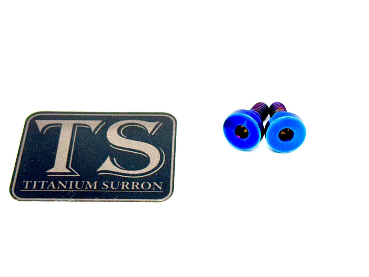 Titanium Battery Lid Bolts - E-Ride Pro - (Two Pcs)