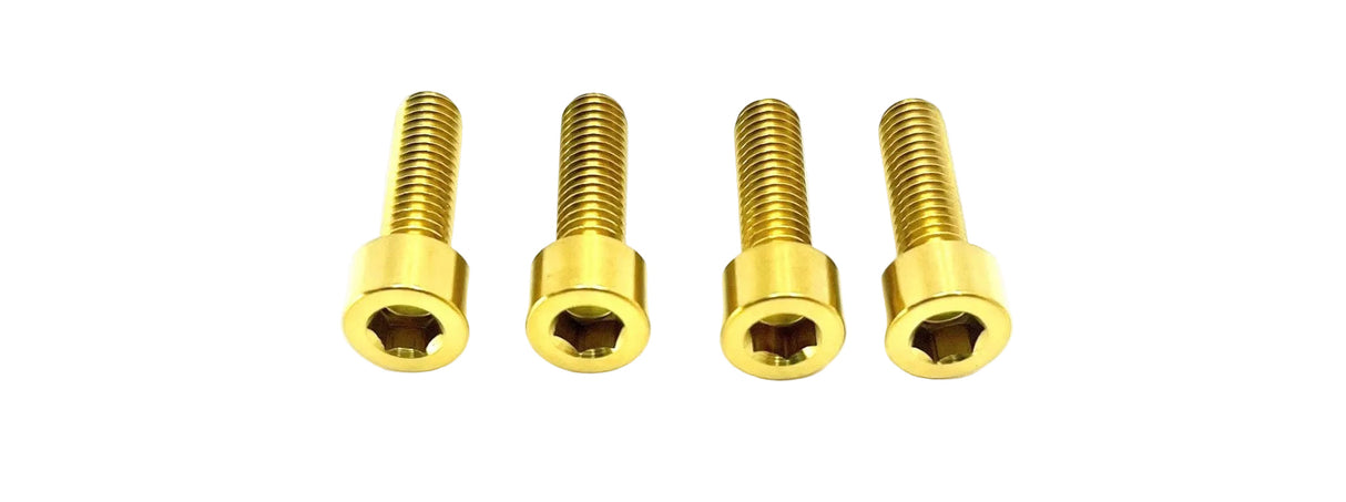 Titanium E-Moto Brake Handle-Mount Bolts