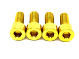 Titanium Stem/ Handlebar Mount Bolts - E-moto