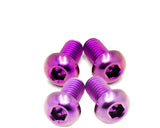 Titanium Controller Mount Bolts for E-moto