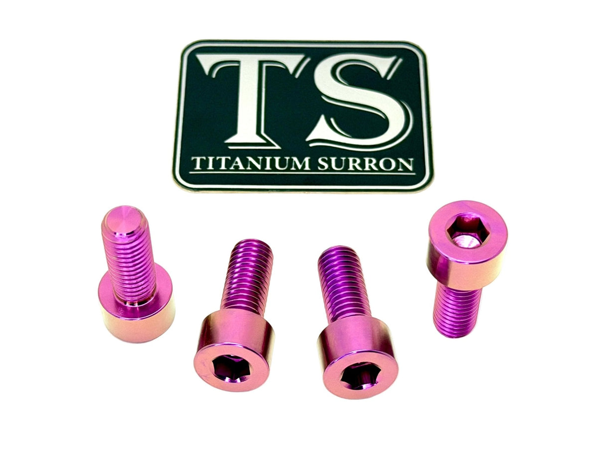 Titanium Bash Guard/ Skid Plate Bolts - E-moto