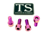 Titanium Bash Guard/ Skid Plate Bolts - E-moto