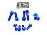 Titanium Bash Guard/ Skid Plate Bolts - E-moto