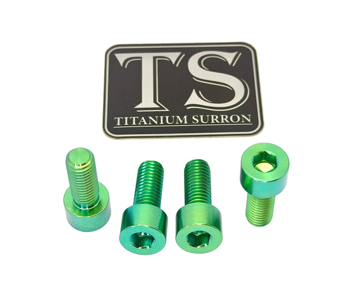 Titanium Bash Guard/ Skid Plate Bolts - E-moto