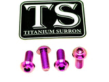Titanium Bash Guard/ Skid Plate Bolts - E-moto