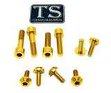 Titanium Bash Guard/ Skid Plate Bolts - E-moto