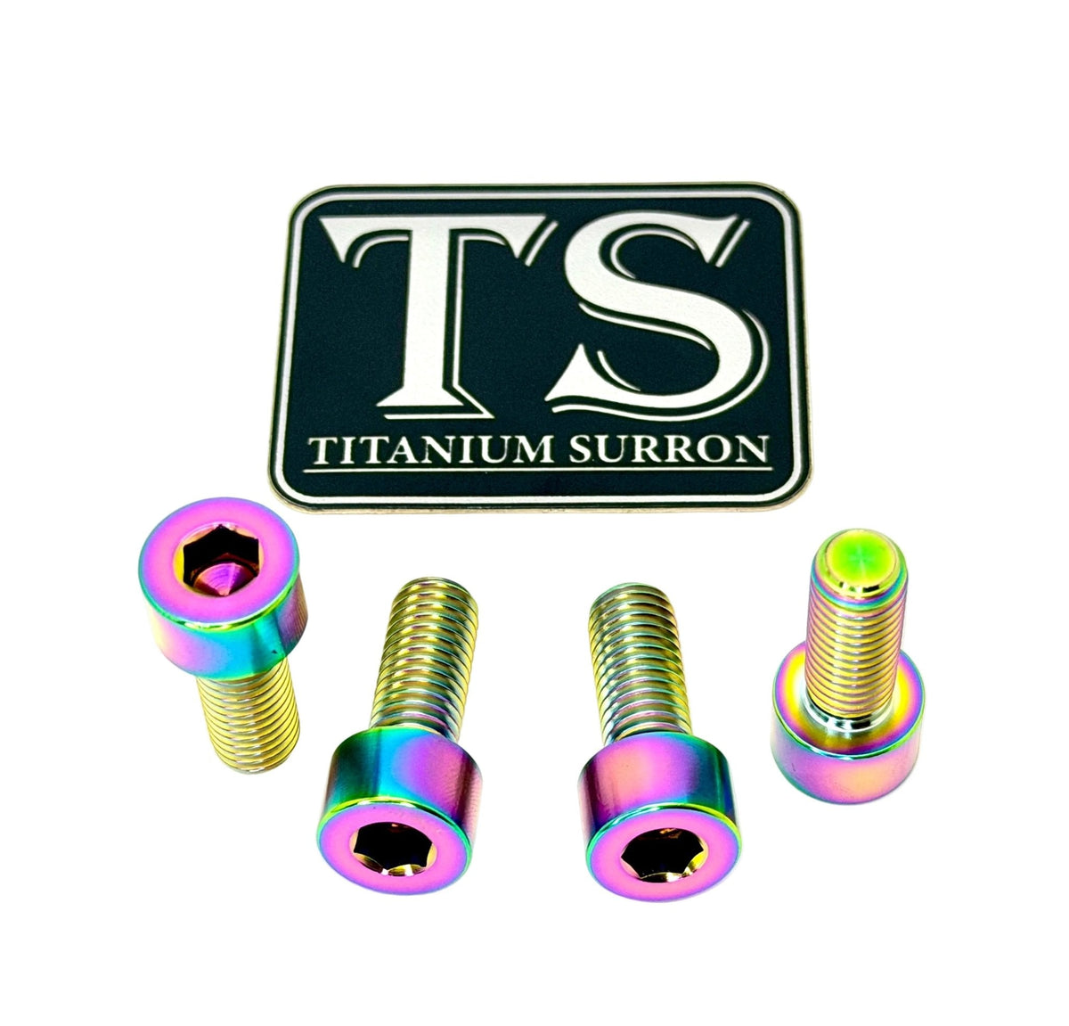 Titanium Bash Guard/ Skid Plate Bolts - E-moto