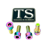 Titanium Bash Guard/ Skid Plate Bolts - E-moto