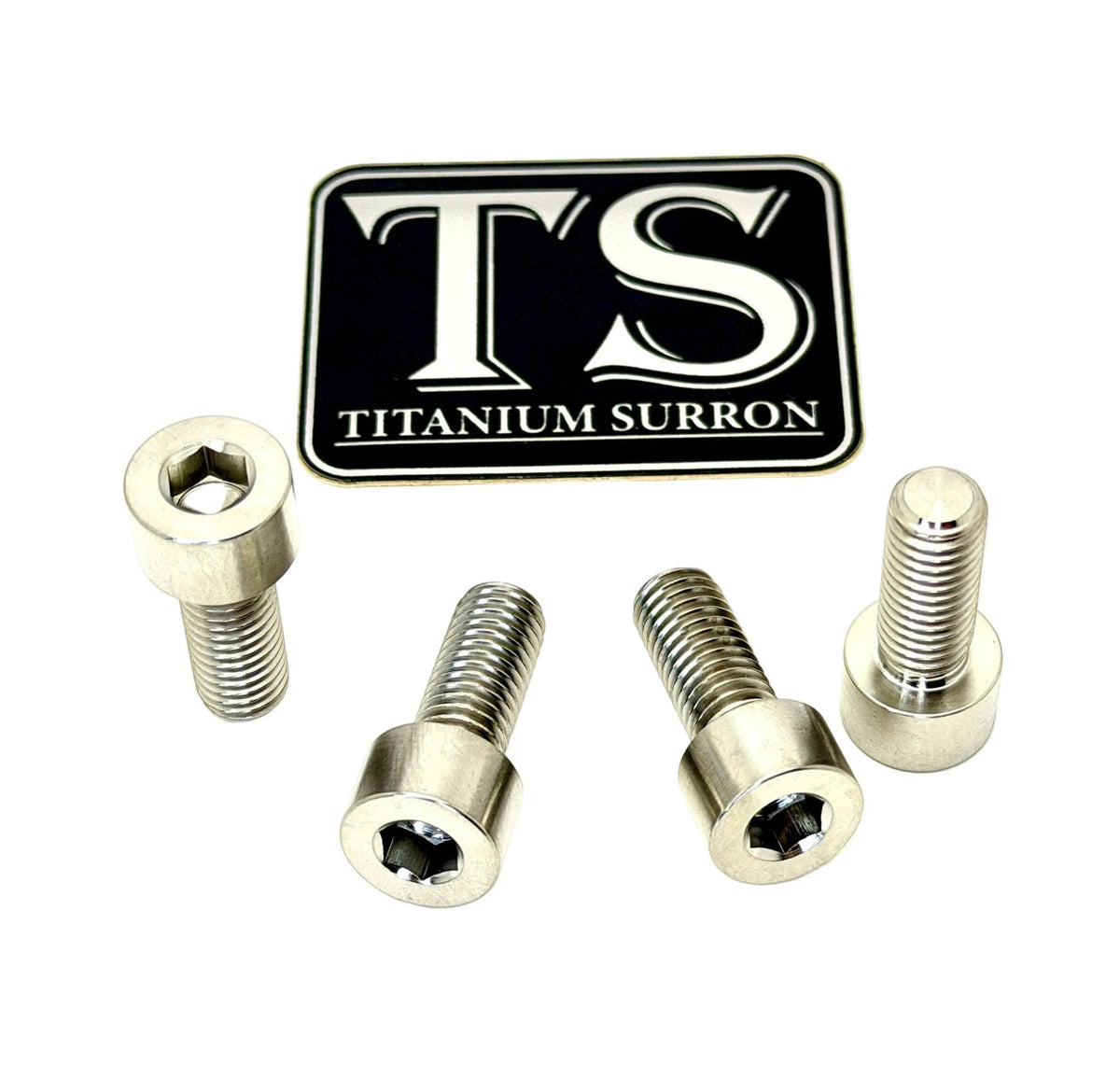 Titanium Bash Guard/ Skid Plate Bolts - E-moto