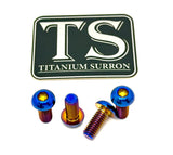 Titanium Bash Guard/ Skid Plate Bolts - E-moto
