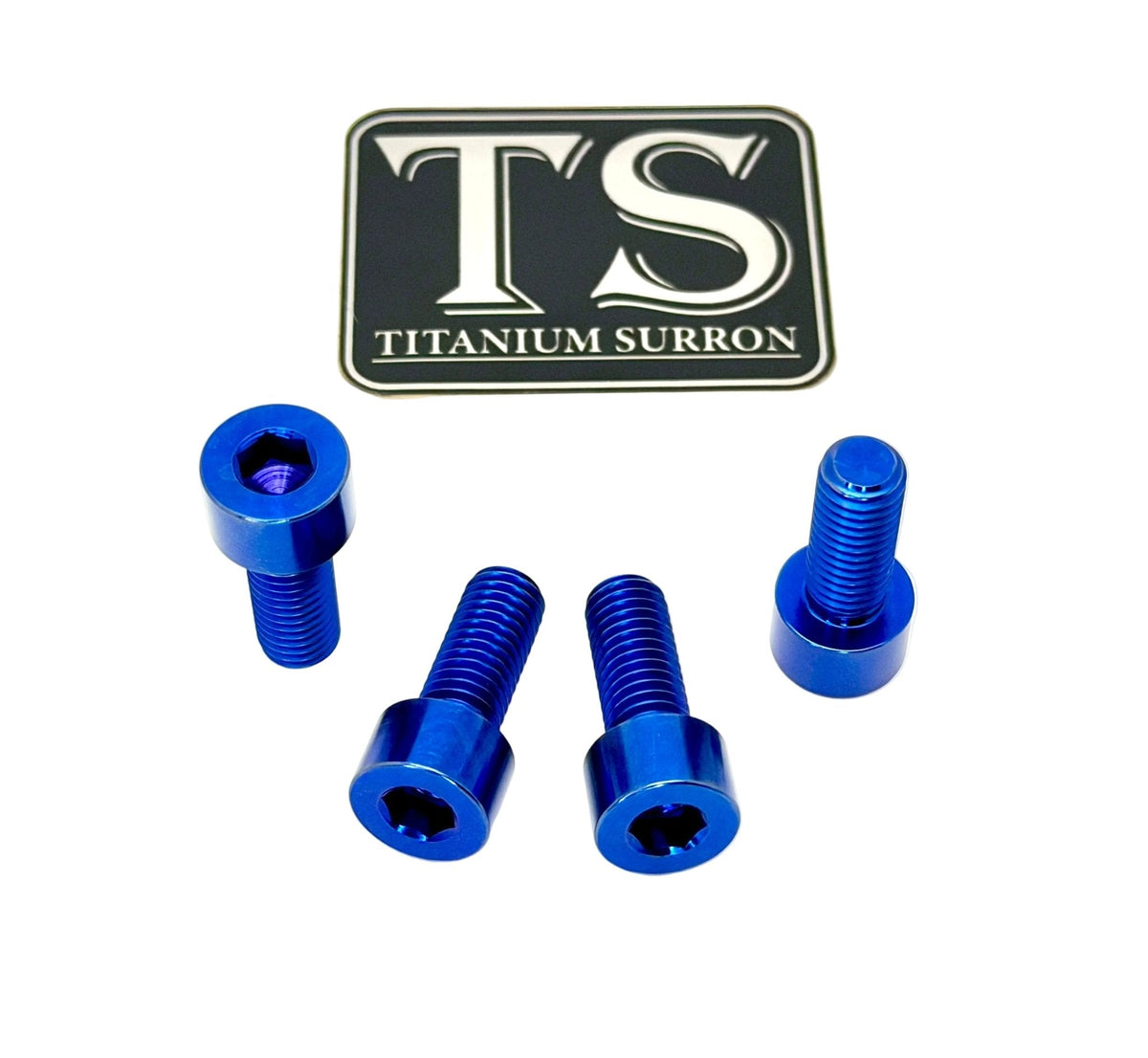 Titanium Bash Guard/ Skid Plate Bolts - E-moto