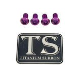 Titanium E-Moto Headlight Mount Bolts