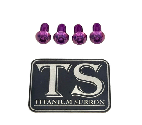 Titanium E-Moto Headlight Mount Bolts