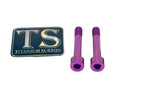 Titanium Motor Bolts - Rerode R1