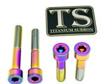 Titanium Motor Bolts - Surron Ultra Bee