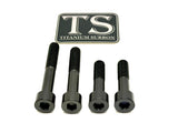 Titanium Motor Bolts - Surron Ultra Bee