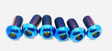 Titanium Rear Rotor Bolts - Most E-moto
