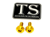 Titanium Surron Ultra Bee Brake Hand Guard Bolts