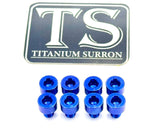 Ventus V9600 Heat Sink Titanium Bolt Kits (8 pcs)